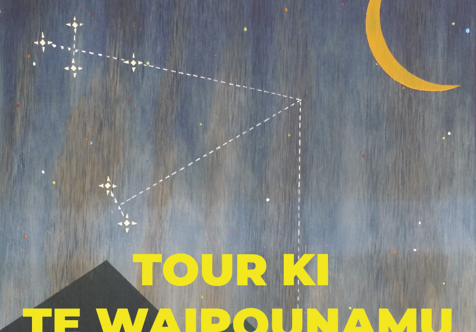 HOIHOI Tour Ki Te Waipounamu
