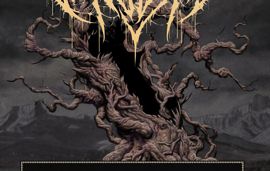 Vulvodynia Aotearoa 2024 Tour