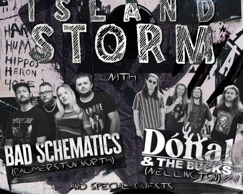 The South Island Storm With BAD SCHEMATICS / Donal & The Bucks