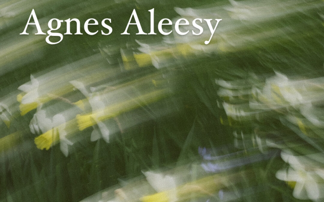 Saint Martins and Agnes Aleesy