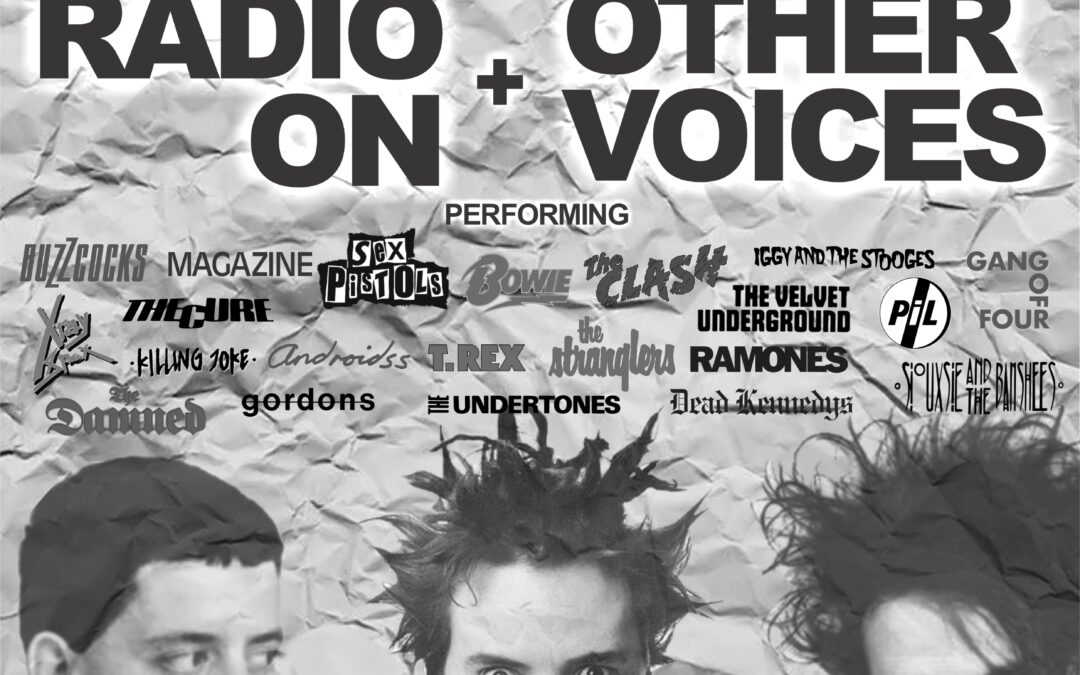 PUNK EVOLUTION featuring Radio On and Other Voices