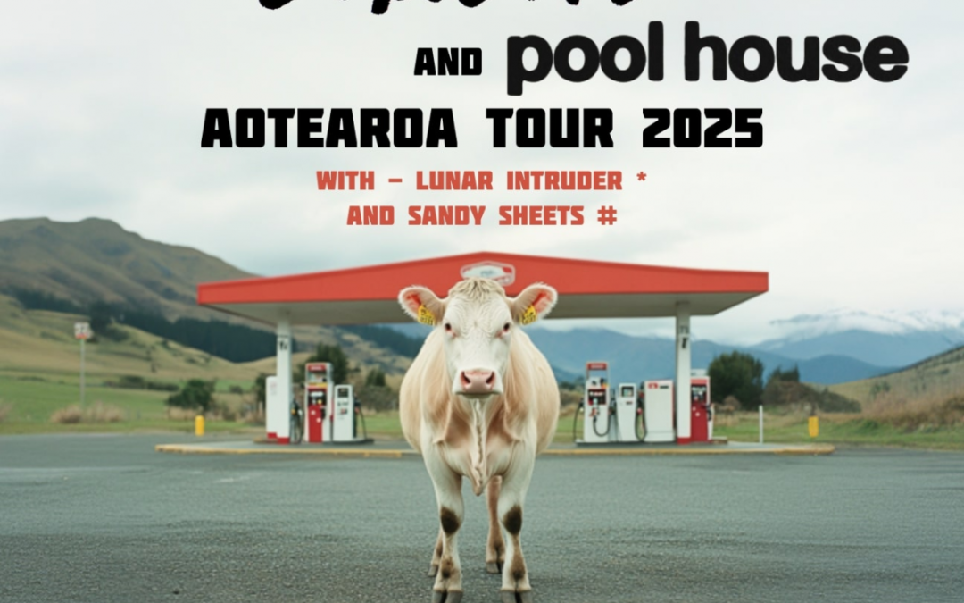 Wet Bandits x Pool House (NZ Tour)