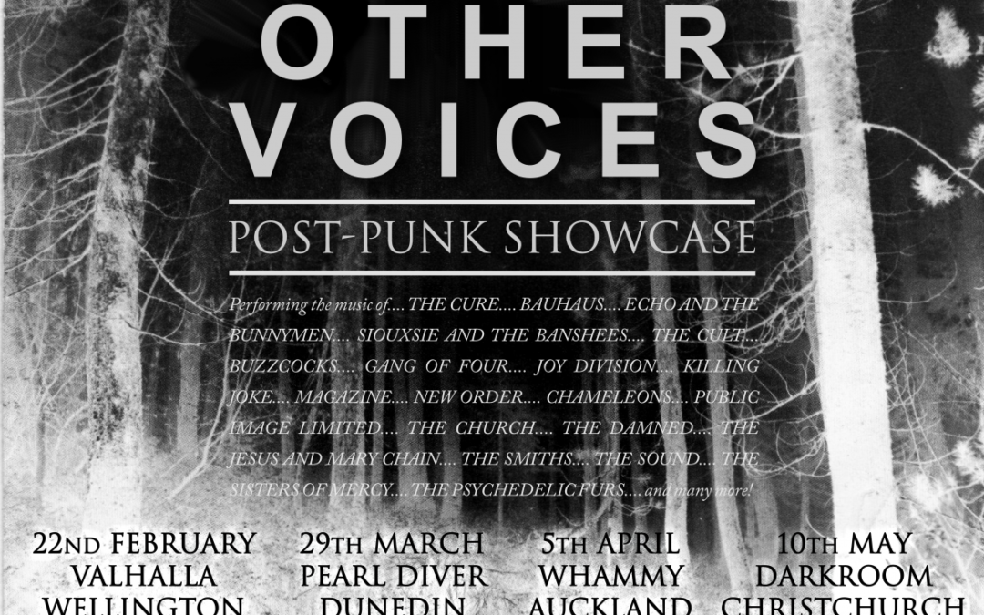 Other Voices – Post-Punk Showcase – Christchurch