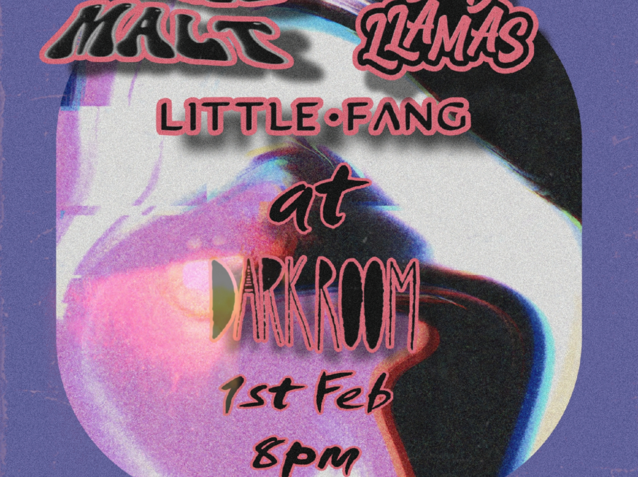 Bad Llamas, Little Fang And Single Malt – New Year Resolutions!