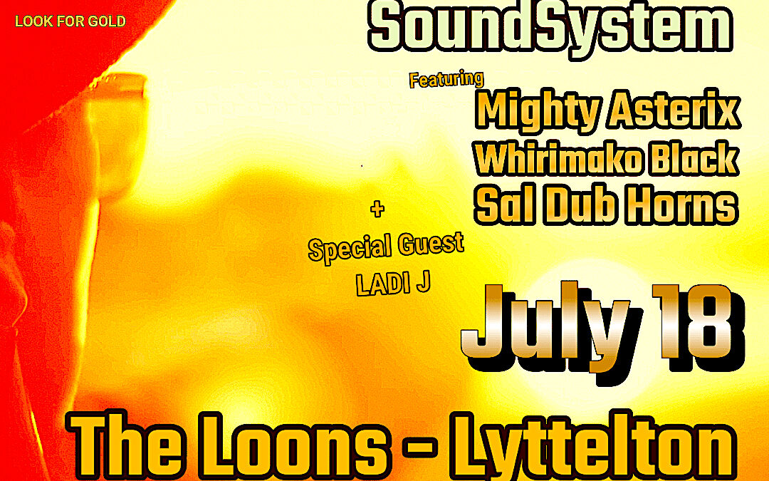 Salmonella Dub Soundsystem