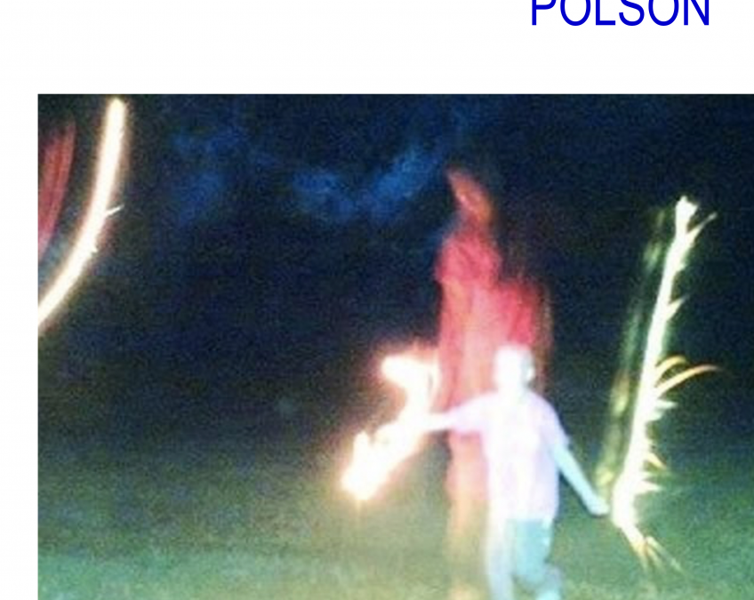 Hoi Hoi With Clemintine and Polson