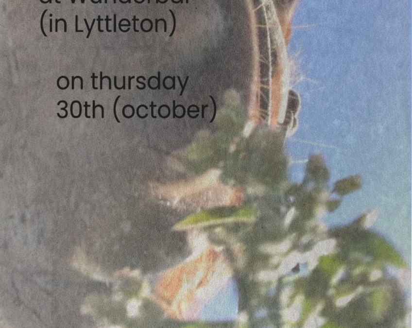 Horsehands And Friends!