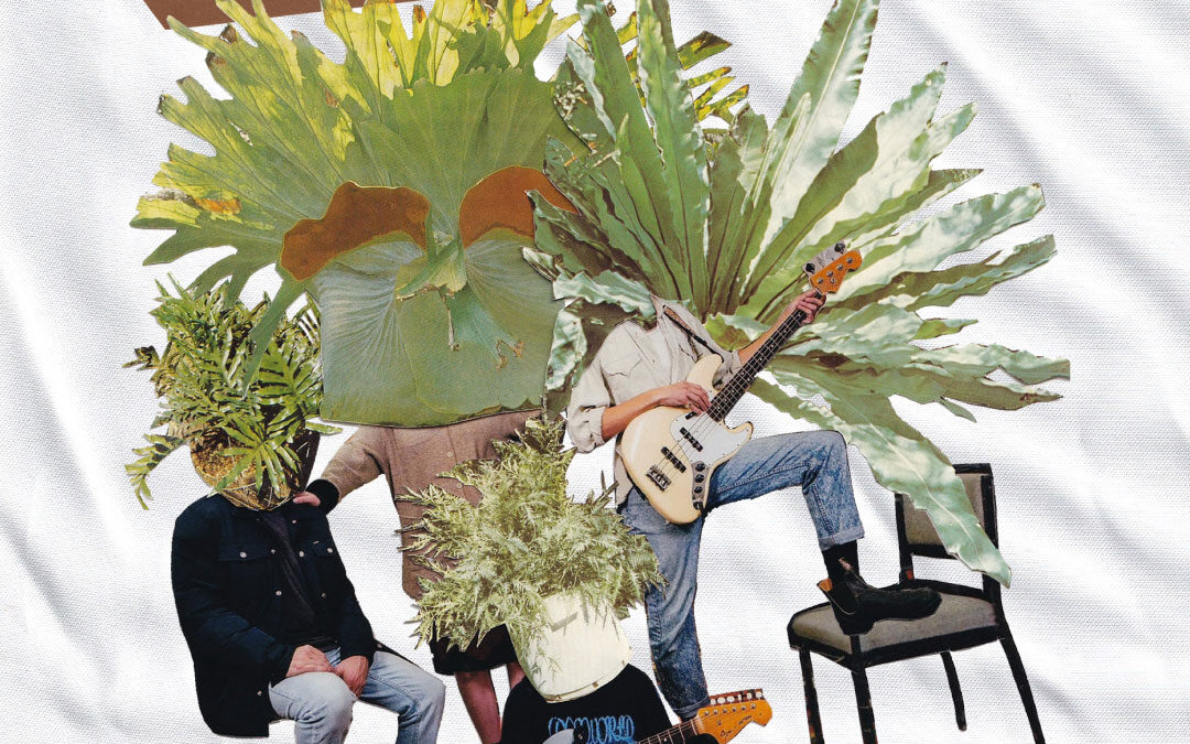 Phantastic Ferniture NZ Tour