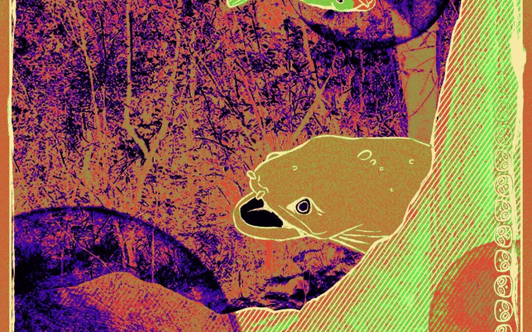 Party Of Special Things To Do – Night 2