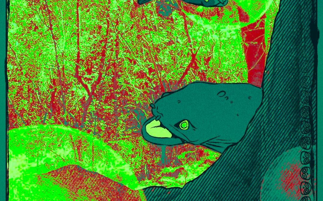 Party Of Special Things To Do – night 2