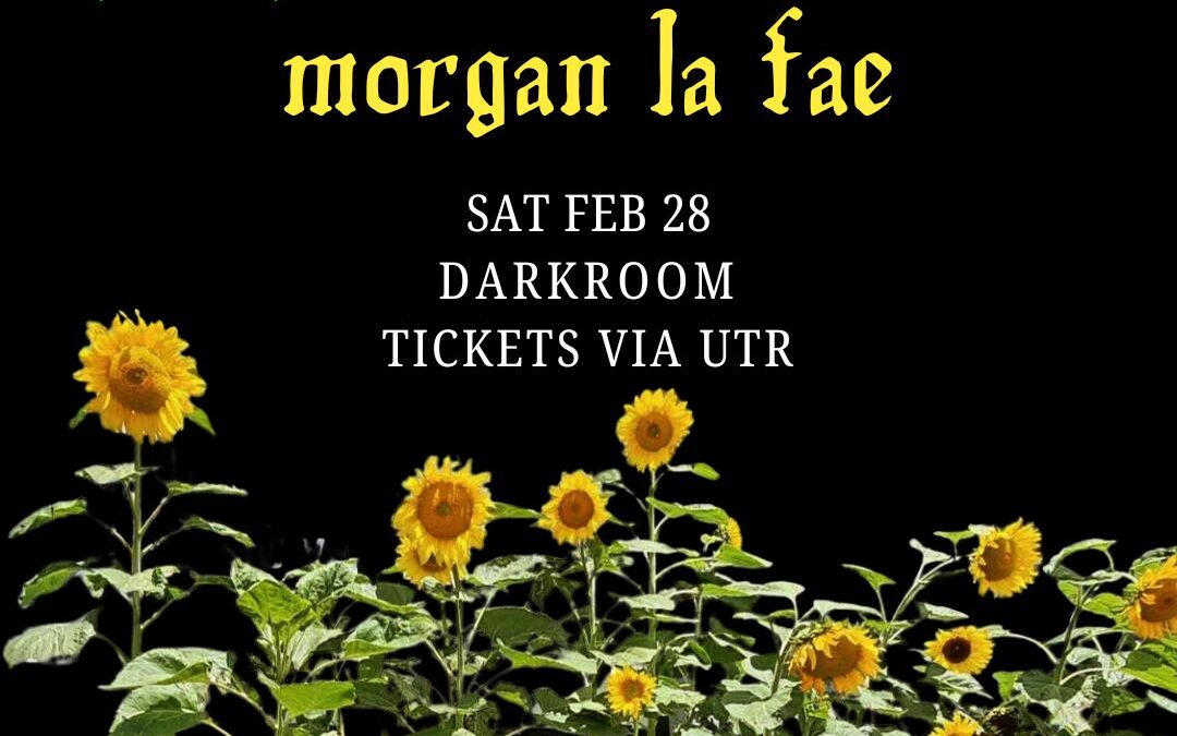 Elizabeth and the Coven, Morgan La Fae, The Charlotte Sometimes