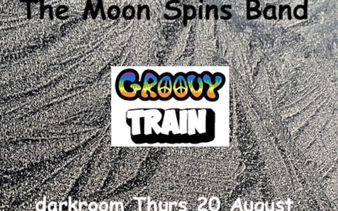 Levi Genes And The Moon Spins Band