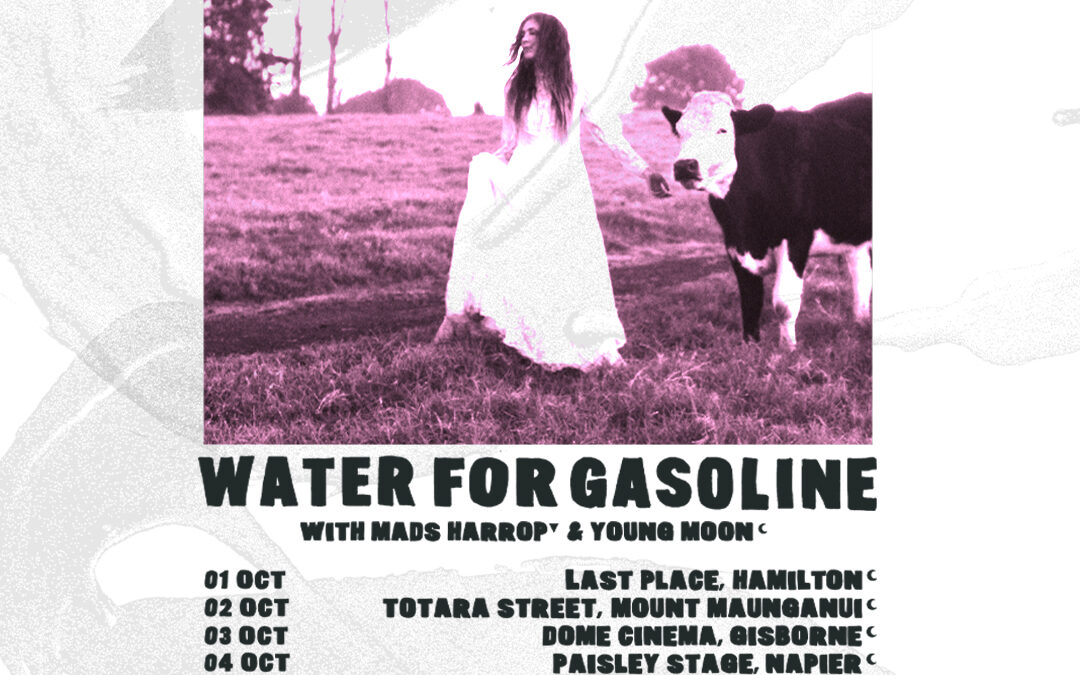 Reb Fountain – Water For Gasoline Tour