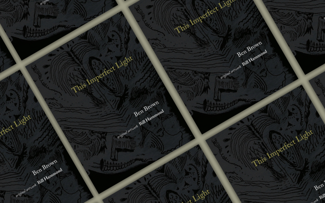 Book Launch | This Imperfect Light by Ben Brown